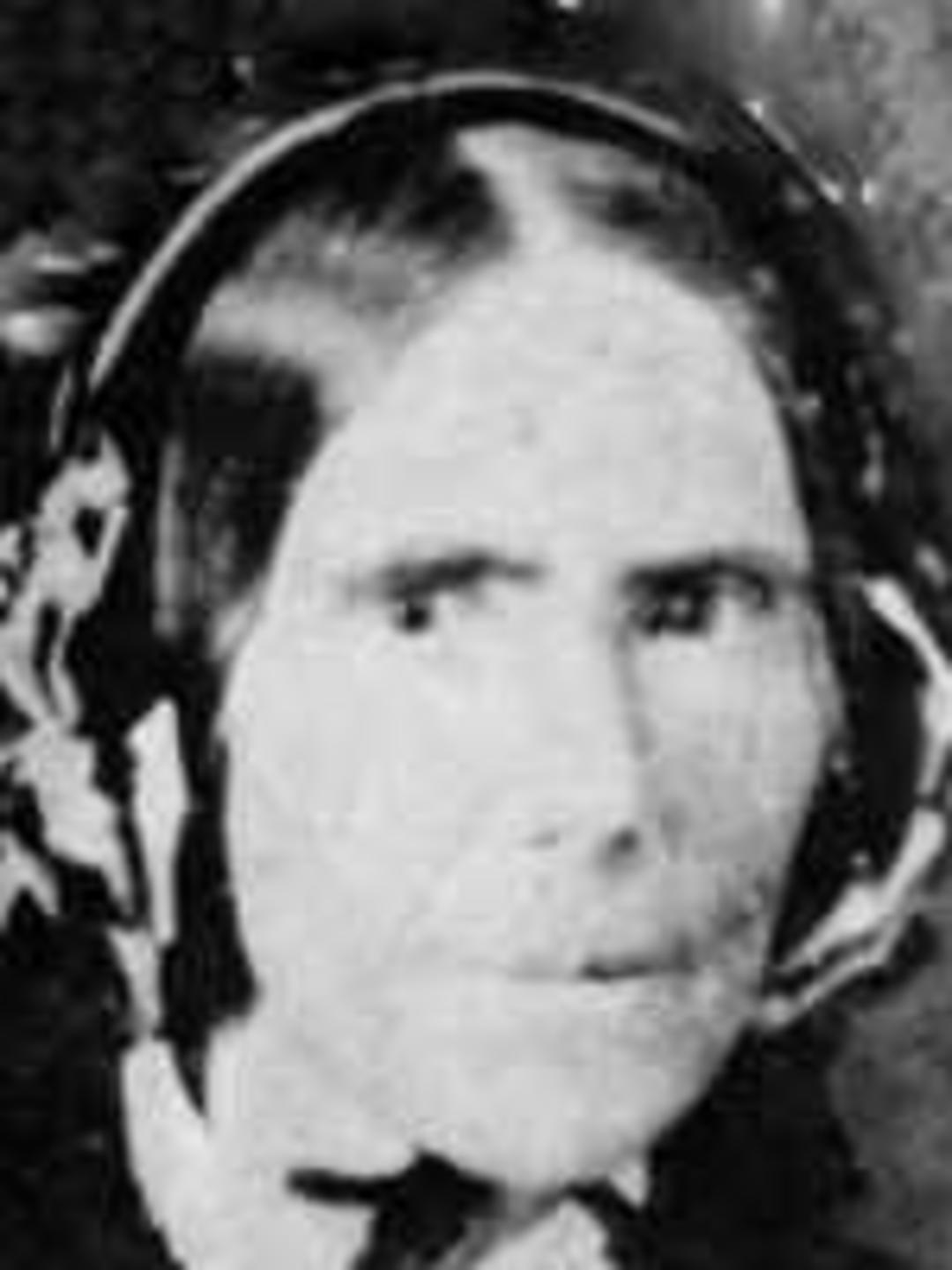 Sarah Verrinder (1804 - 1863) Profile